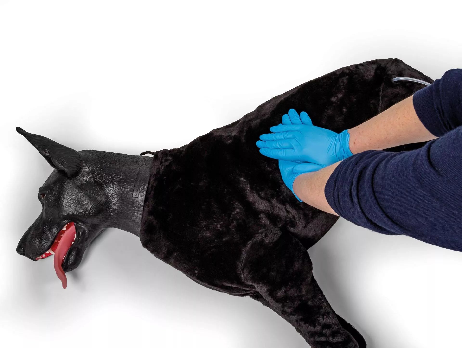 Marshal Military Working Dog (MWD) Canine Simulator