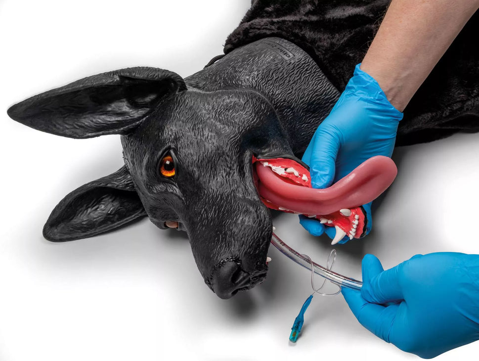 Marshal Military Working Dog (MWD) Canine Simulator