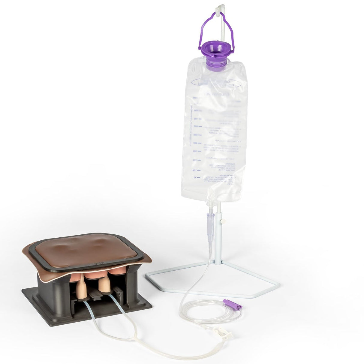 Equine Castration Surgical Simulator