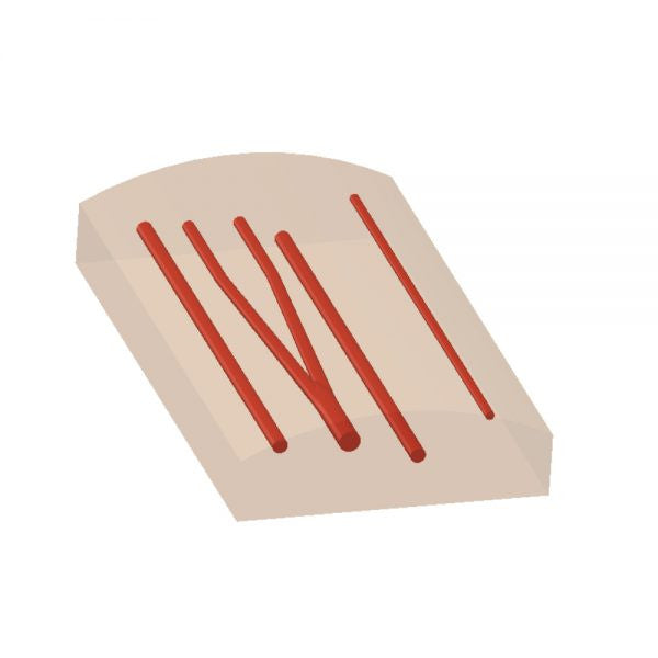 Vascular Access Ultrasound Phantom (4 Vein Bifurcated)