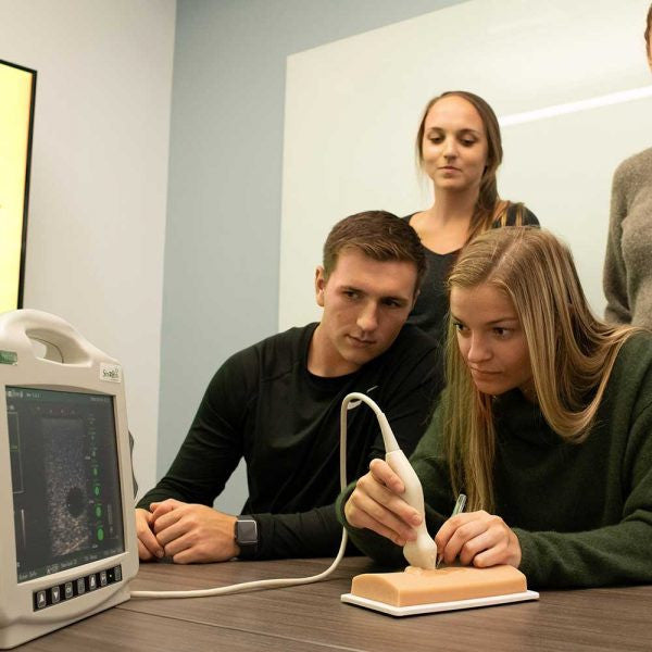 Vascular Access Ultrasound Phantom (3 Vein Bifurcated)