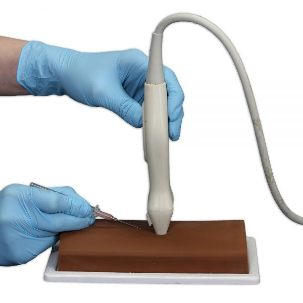 Vascular Access Ultrasound Phantom (3 Vein Bifurcated)