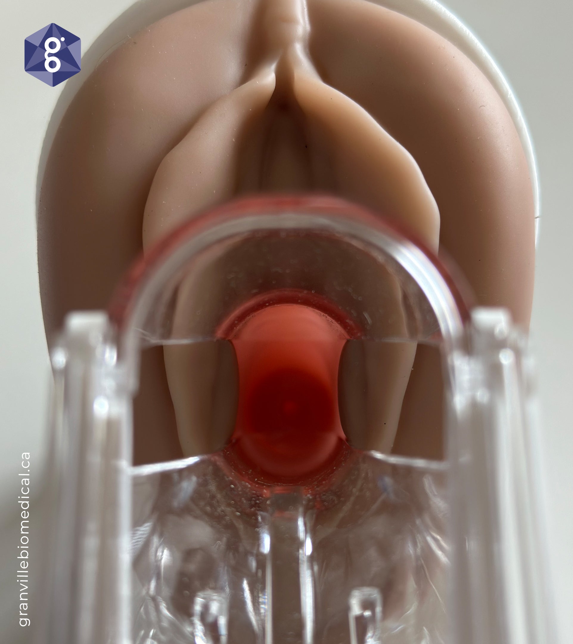 Venus Pelvic Health Model