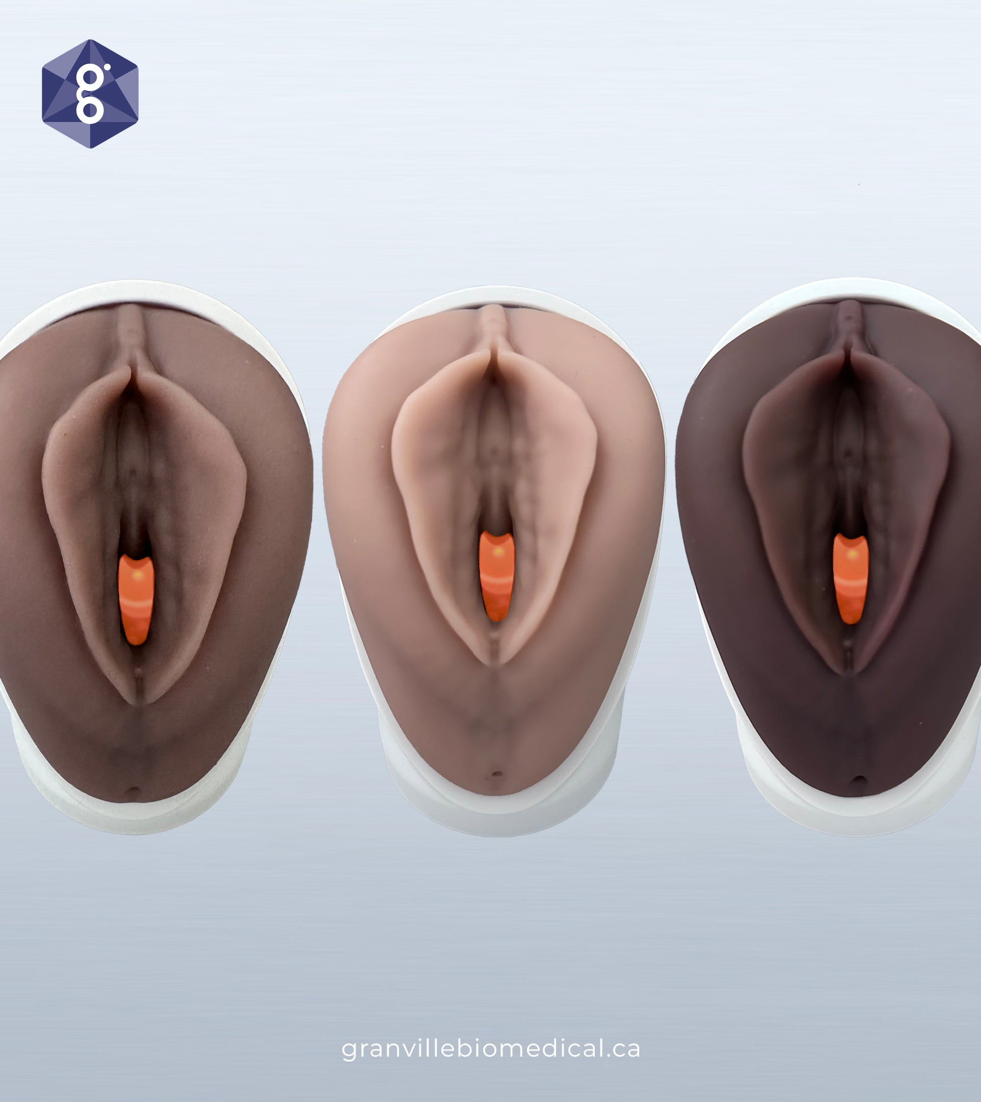 Venus Pelvic Health Model