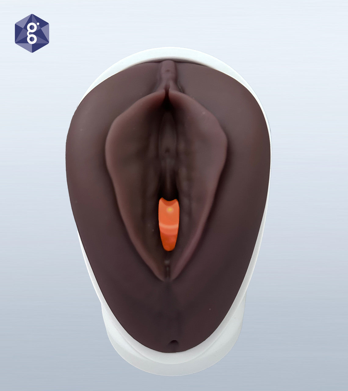 Venus Pelvic Health Model