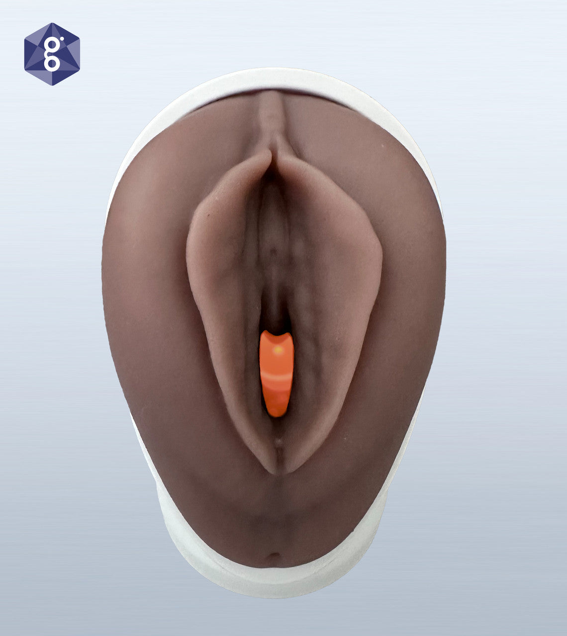 Venus Pelvic Health Model