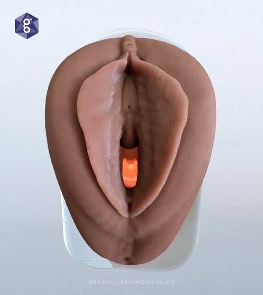 Educational Pelvic Health Kit