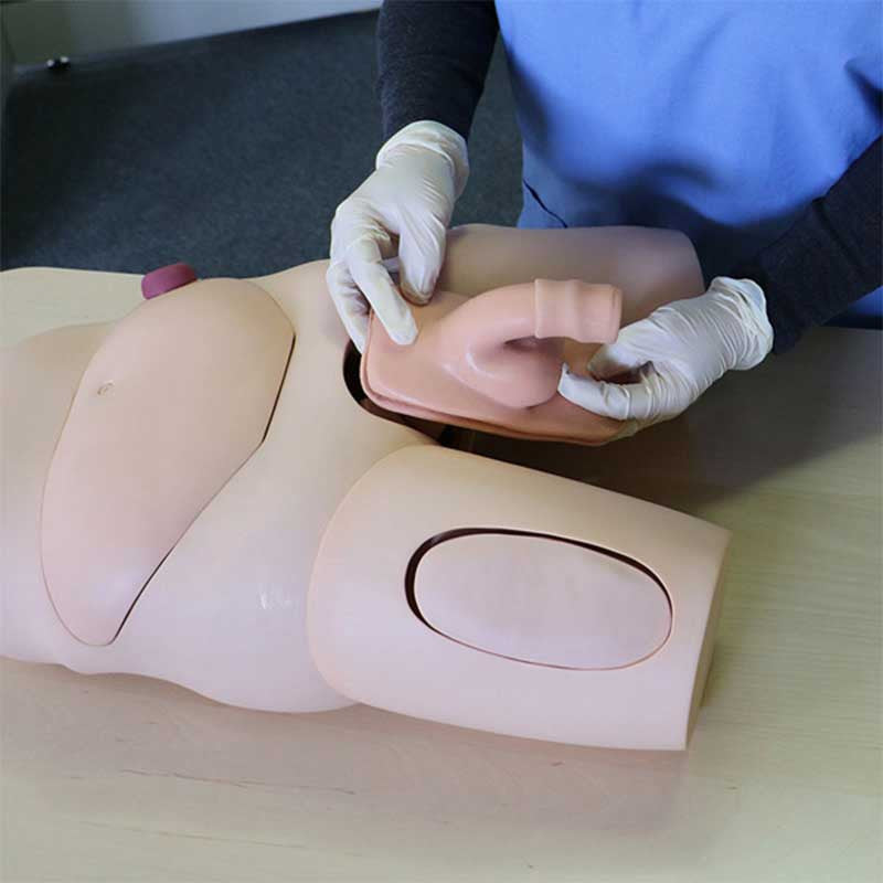Vinyl Male / Female Catheterisation Simulator