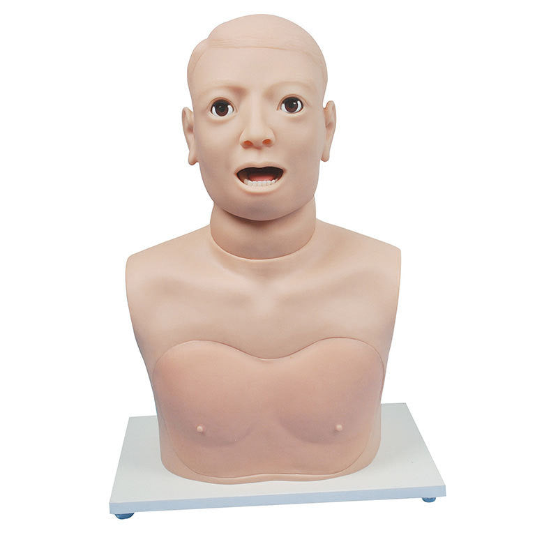 Vocal Cord Examination Model