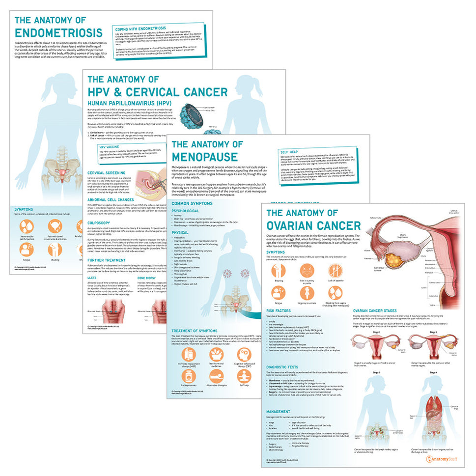 Women's Reproductive Health 4 Poster Collection