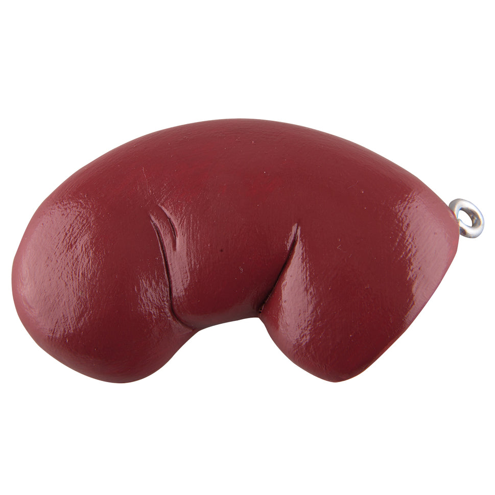 Spare front kidney half