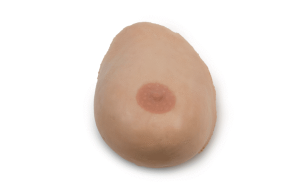 SynDaver Complex Breast Phantom