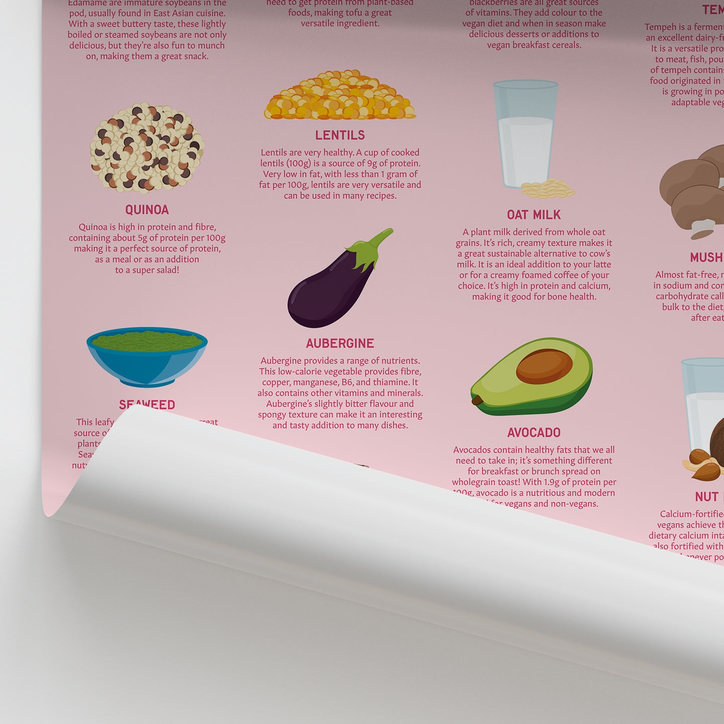 A Balanced Vegan Diet Chart / Poster