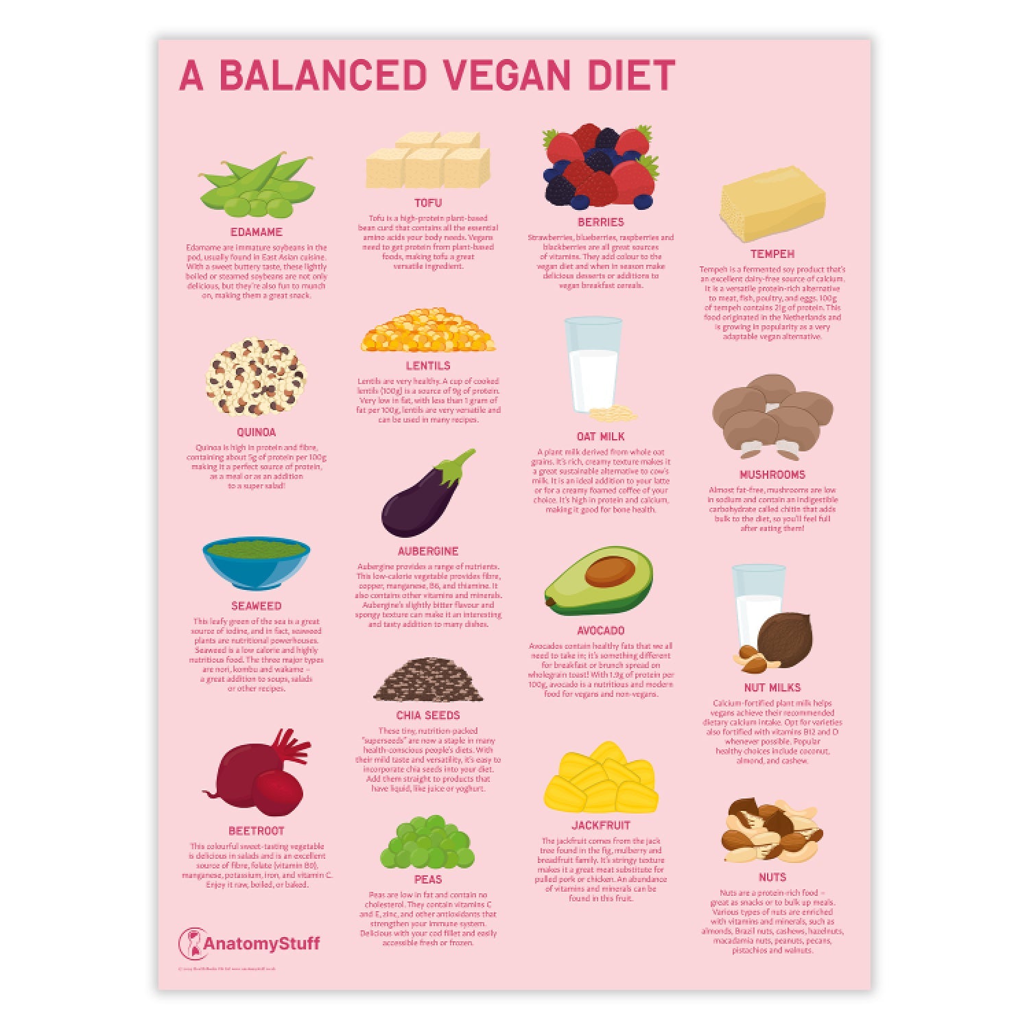 A Balanced Vegan Diet Chart / Poster - Part of Collection