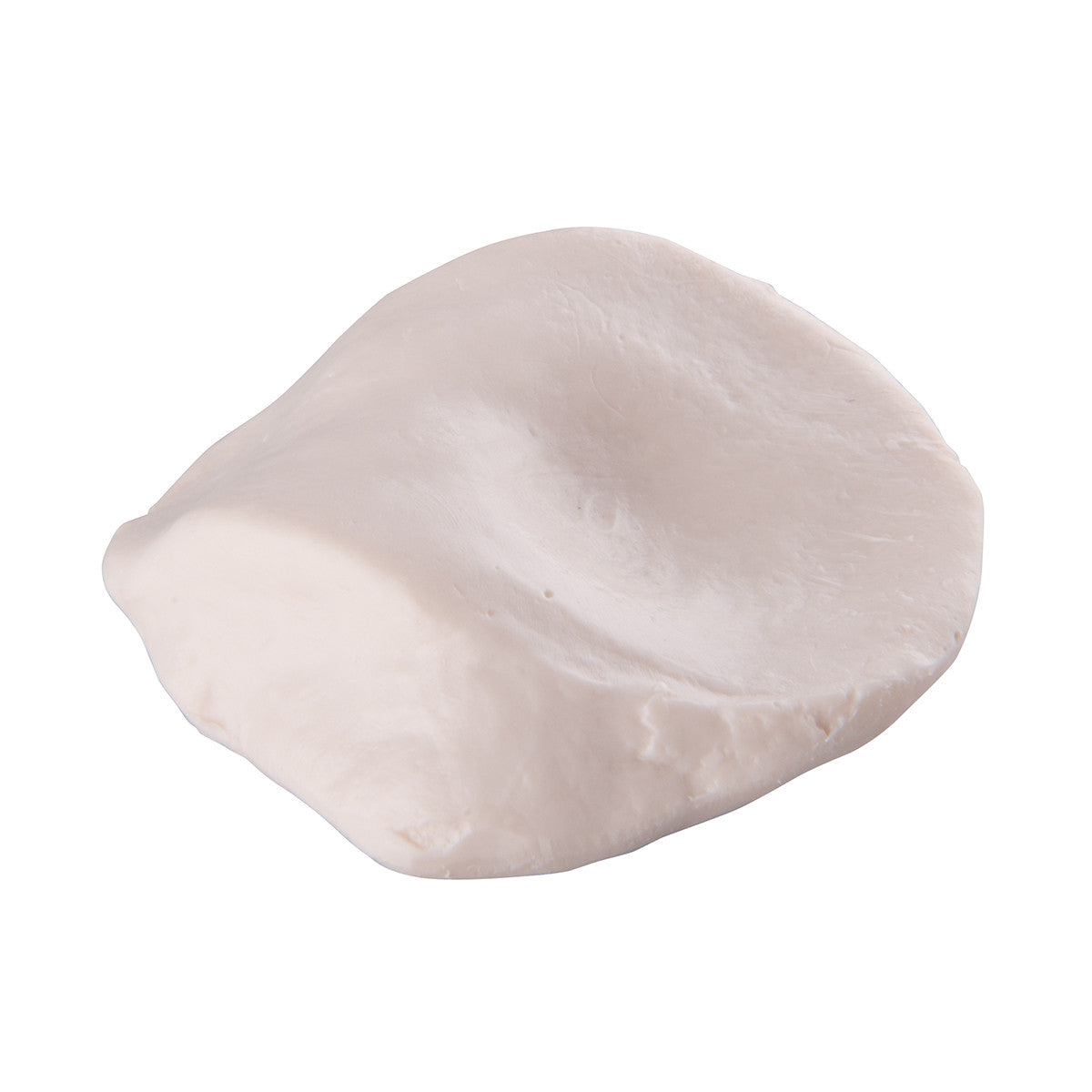 Patella Bone Model 3B