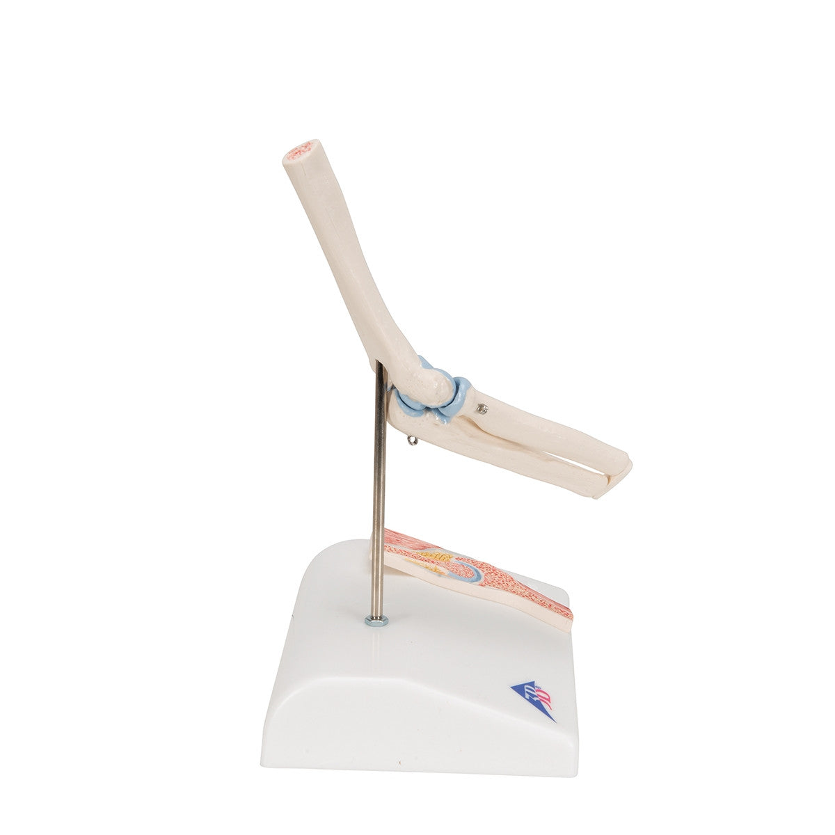 Mini Elbow Joint Model with Cross-Section