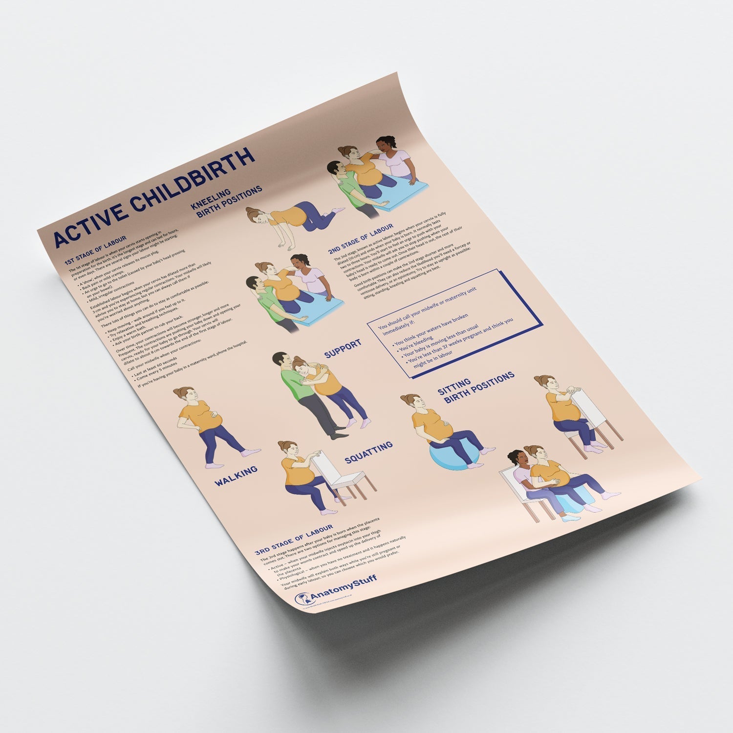Active Childbirth (Positions for Labour) Chart / Poster - Part of Collection