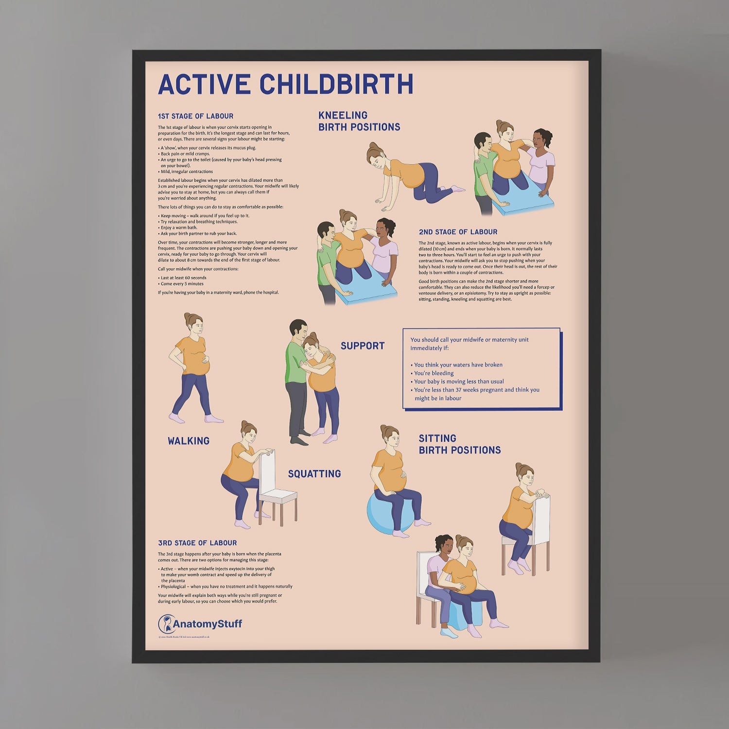 Active Childbirth (Positions for Labour) Chart / Poster - Part of Collection