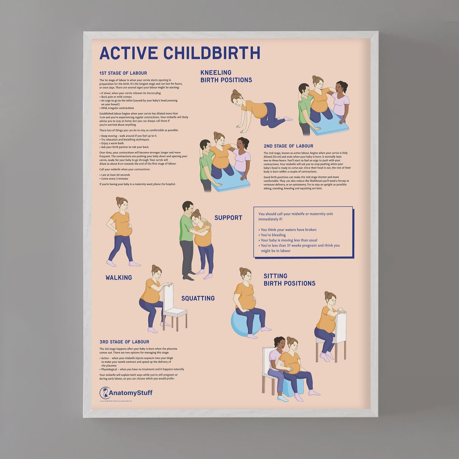 Active Childbirth (Positions for Labour) Chart / Poster - Part of Collection