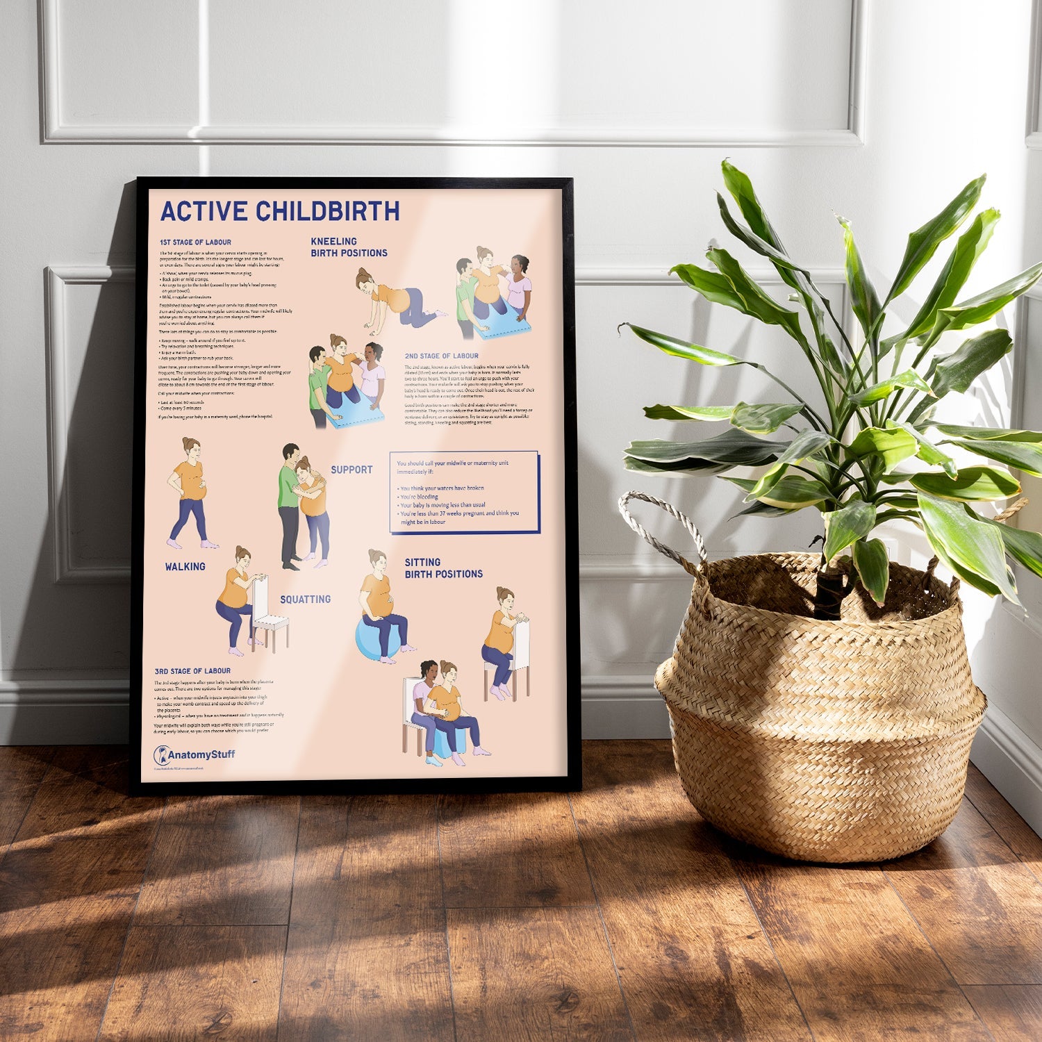 Active Childbirth (Positions for Labour) Chart / Poster - Part of Collection