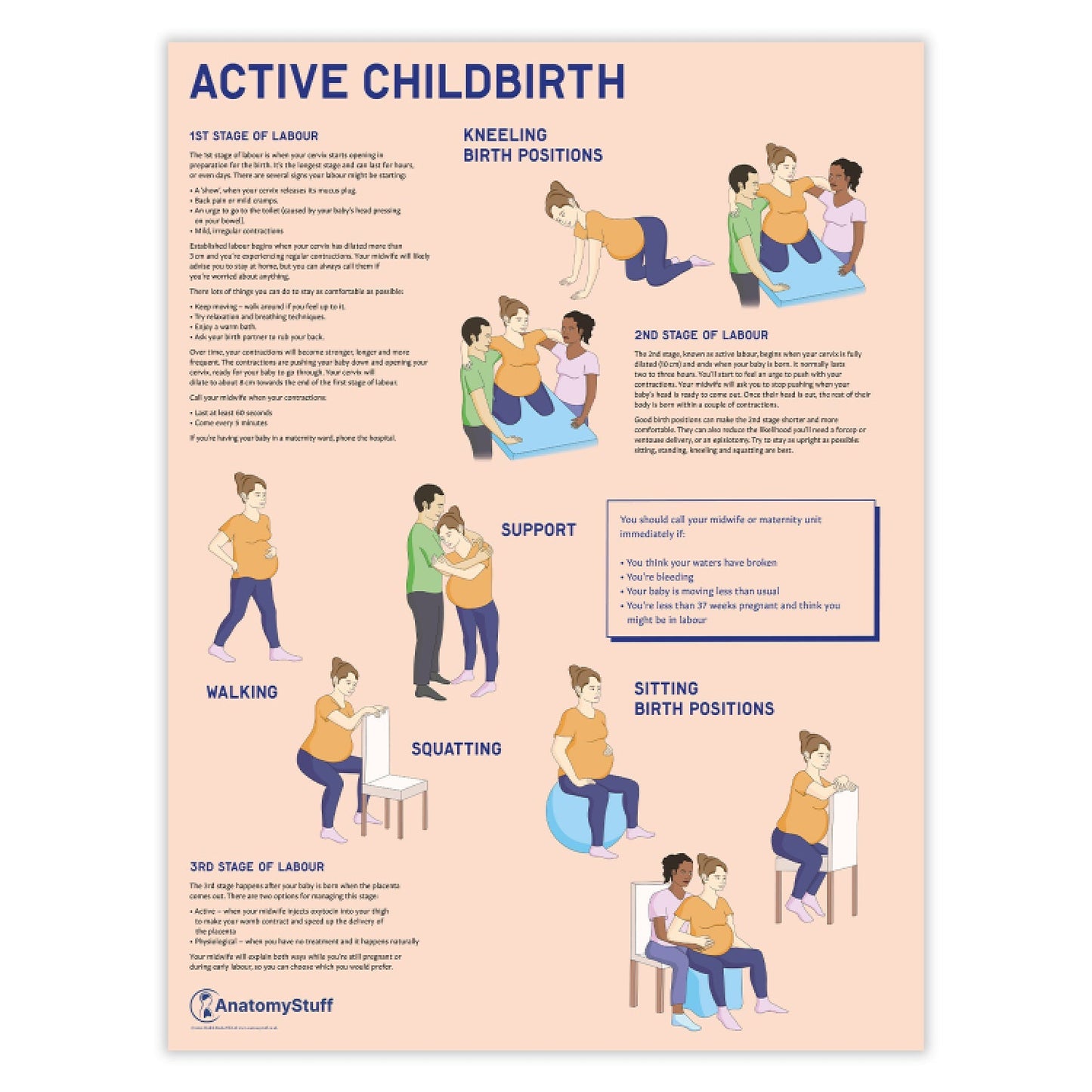 Active Childbirth (Positions for Labour) Chart / Poster - Part of Collection