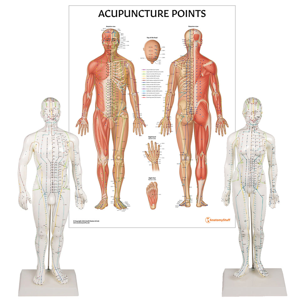 Acupuncture Collection