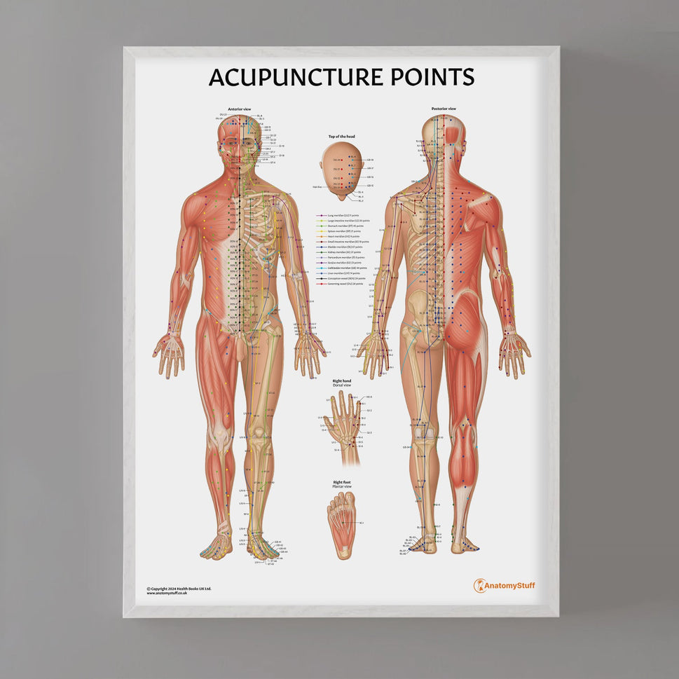 Acupuncture Points Chart / Poster