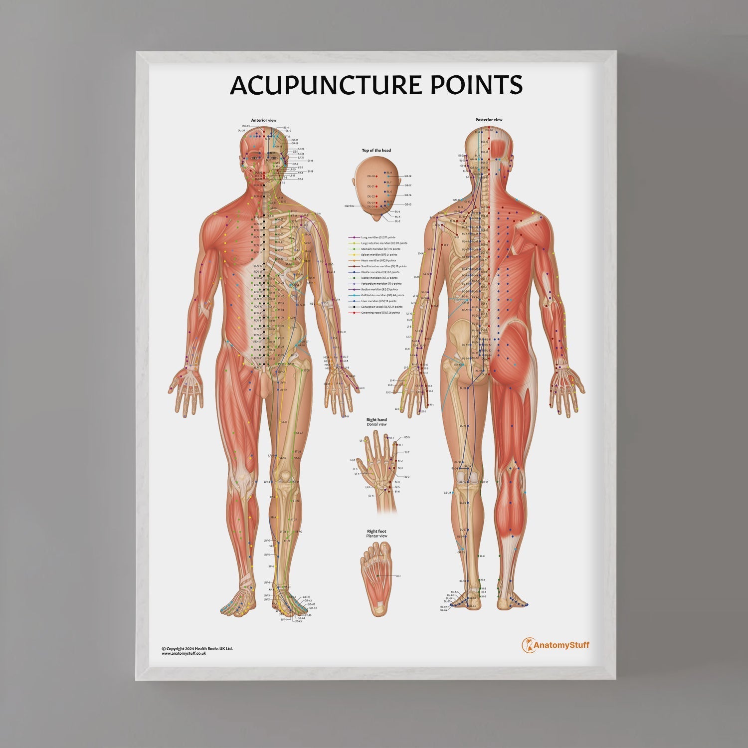 Acupuncture Points Chart / Poster - Part of Collection