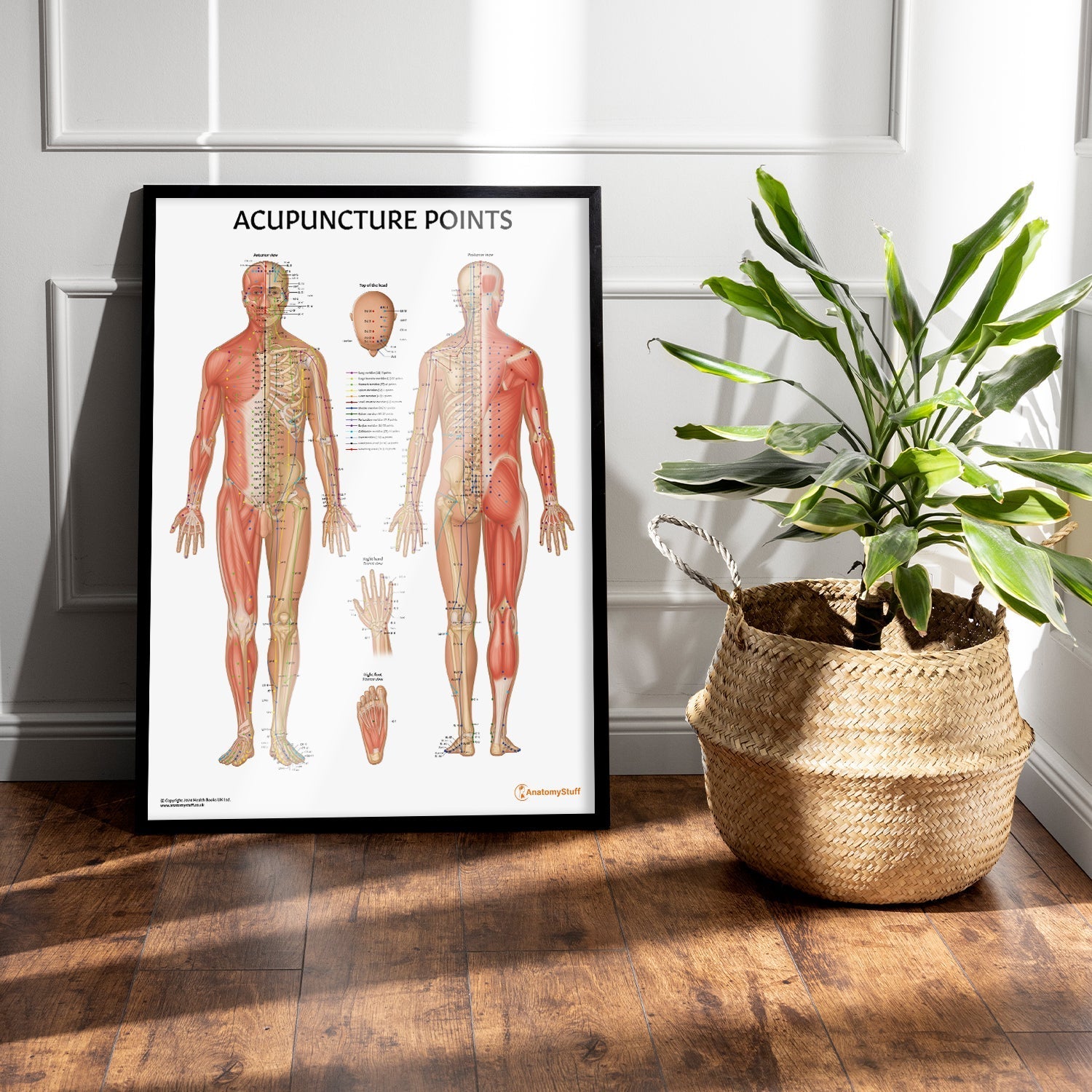 Acupuncture Points Chart / Poster - Part of Collection