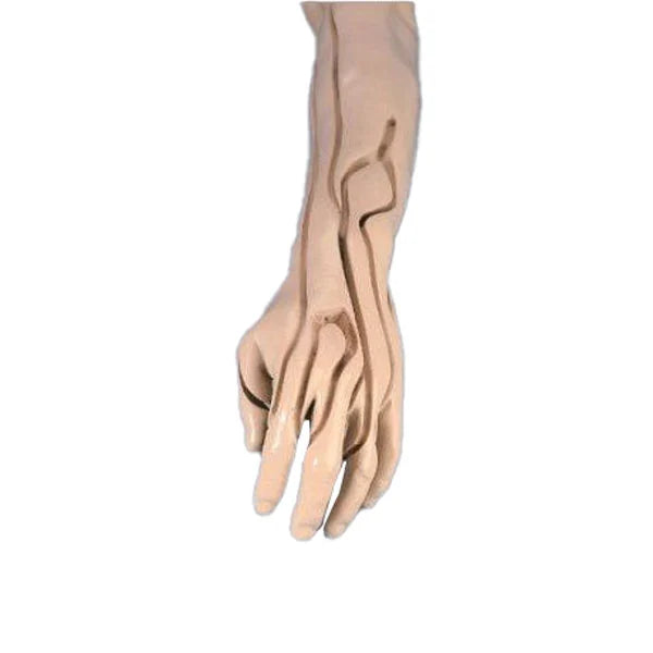 Advanced Venepuncture and Injection Arm