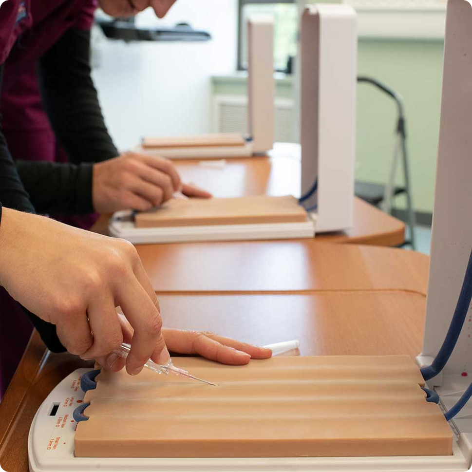 Advanced Four-Vein Venipuncture Training Aid