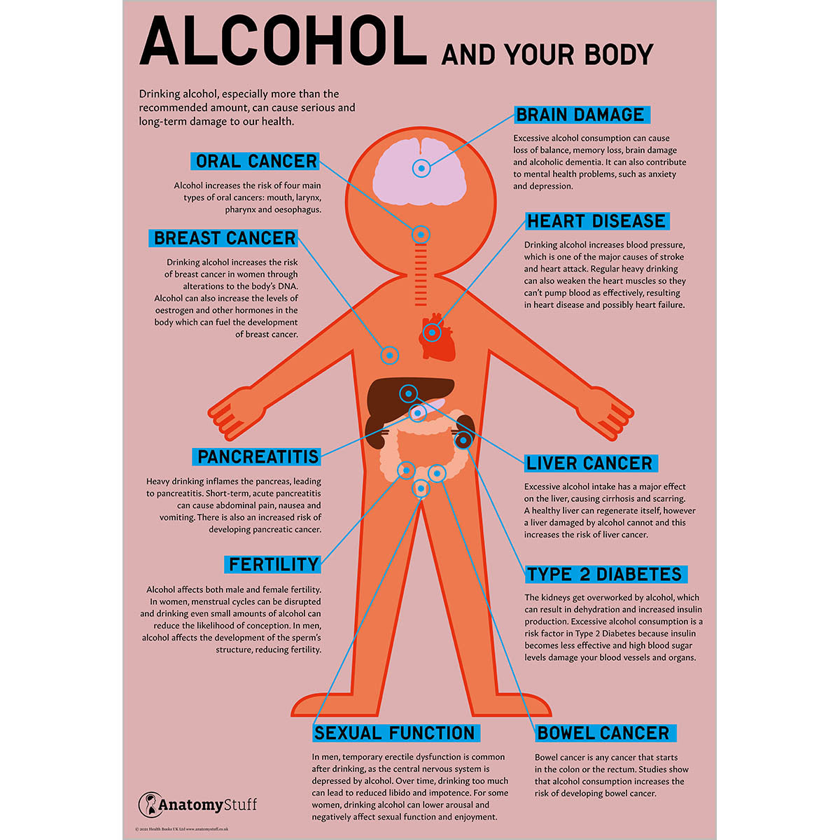 Alcohol Education 3 Poster Collection
