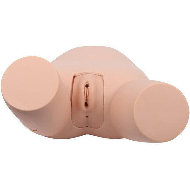 Advanced Fundus Assessment Skills Trainer