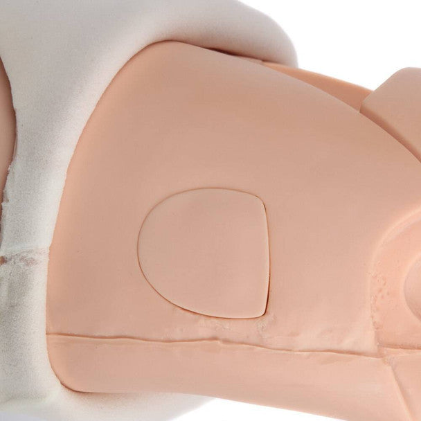 Advanced Fundus Assessment Skills Trainer