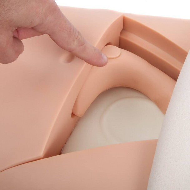 Advanced Fundus Assessment Skills Trainer