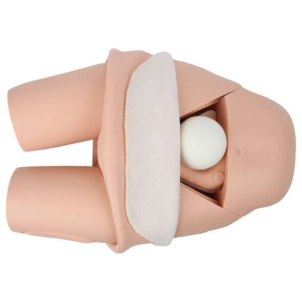 Advanced Fundus Assessment Skills Trainer