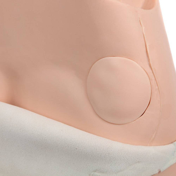 Advanced Fundus Assessment Skills Trainer