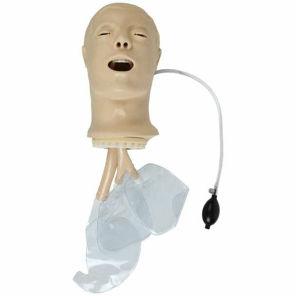 Airway Management Training Manikin