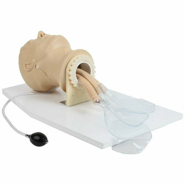 Airway Management Training Manikin