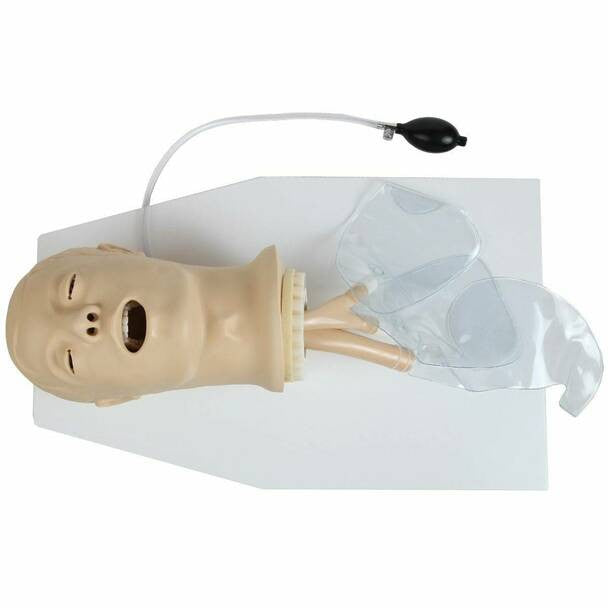 Airway Management Training Manikin