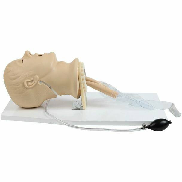 Airway Management Training Manikin