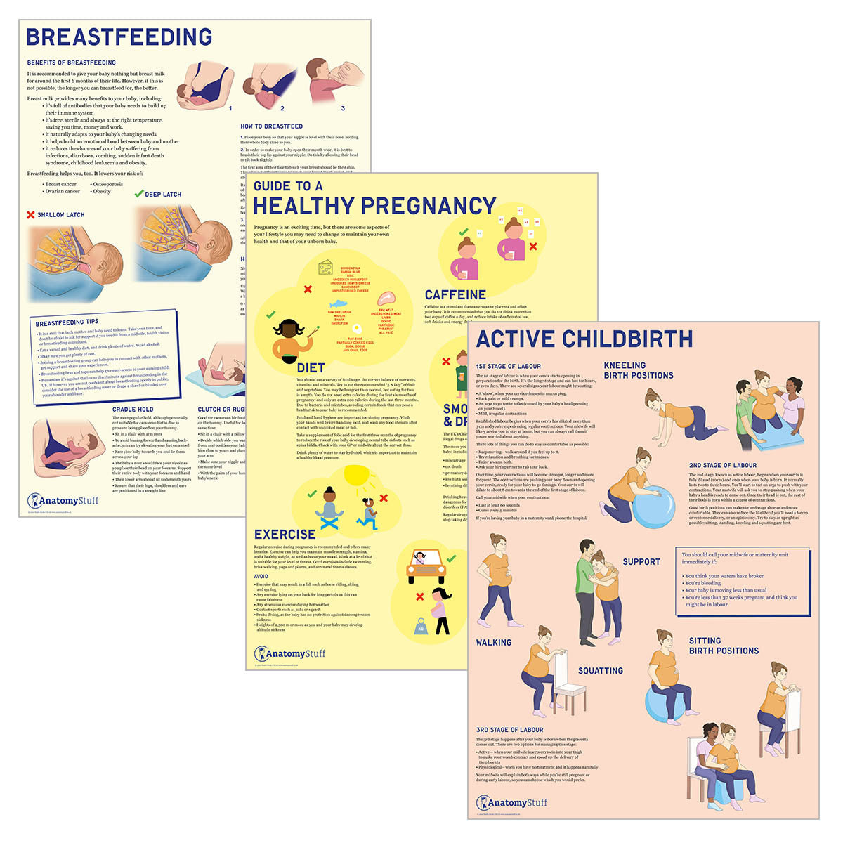 Antenatal 3 Chart Collection