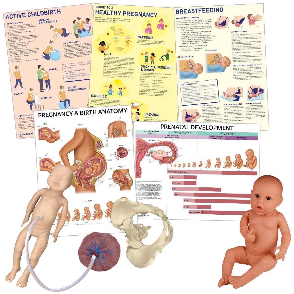 <strong>Antenatal Educators Collection</strong>