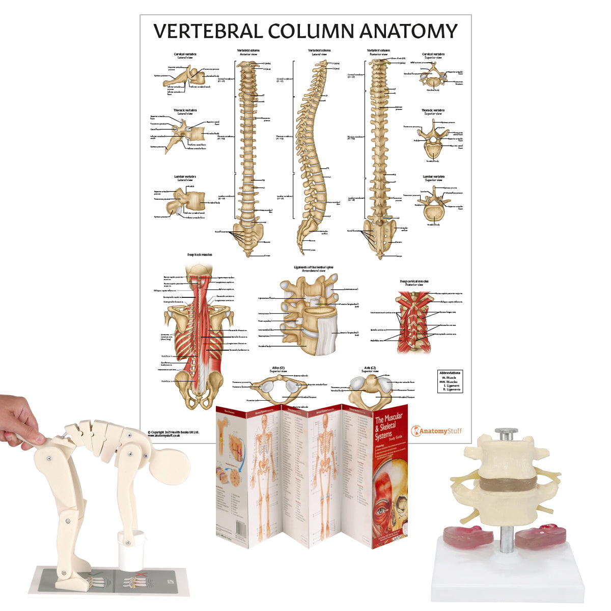 Basic Manual Handling Demonstration Kit