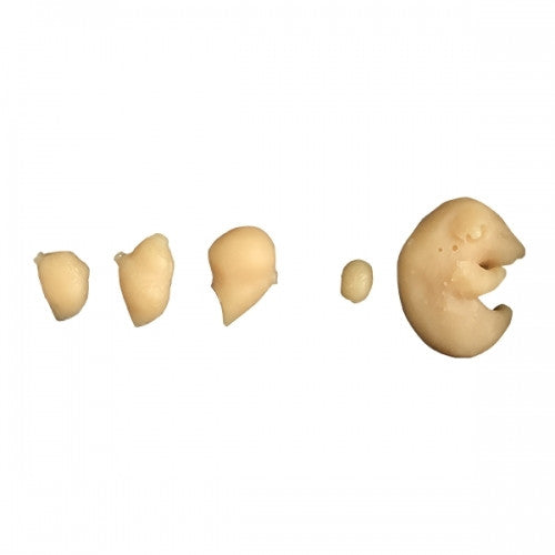 Bovine Breeder Artificial Insemination Simulator