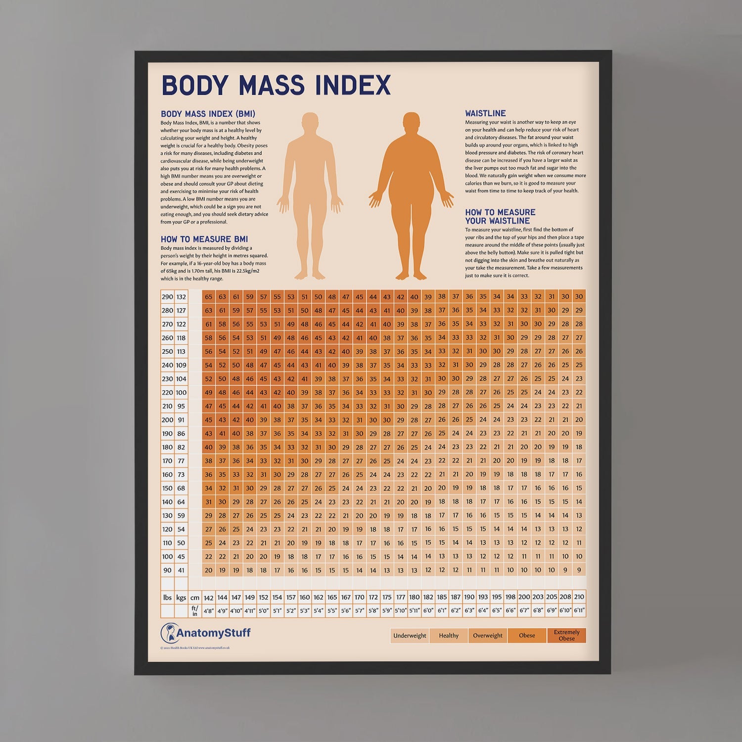 Body Mass Index (BMI) Chart / Poster