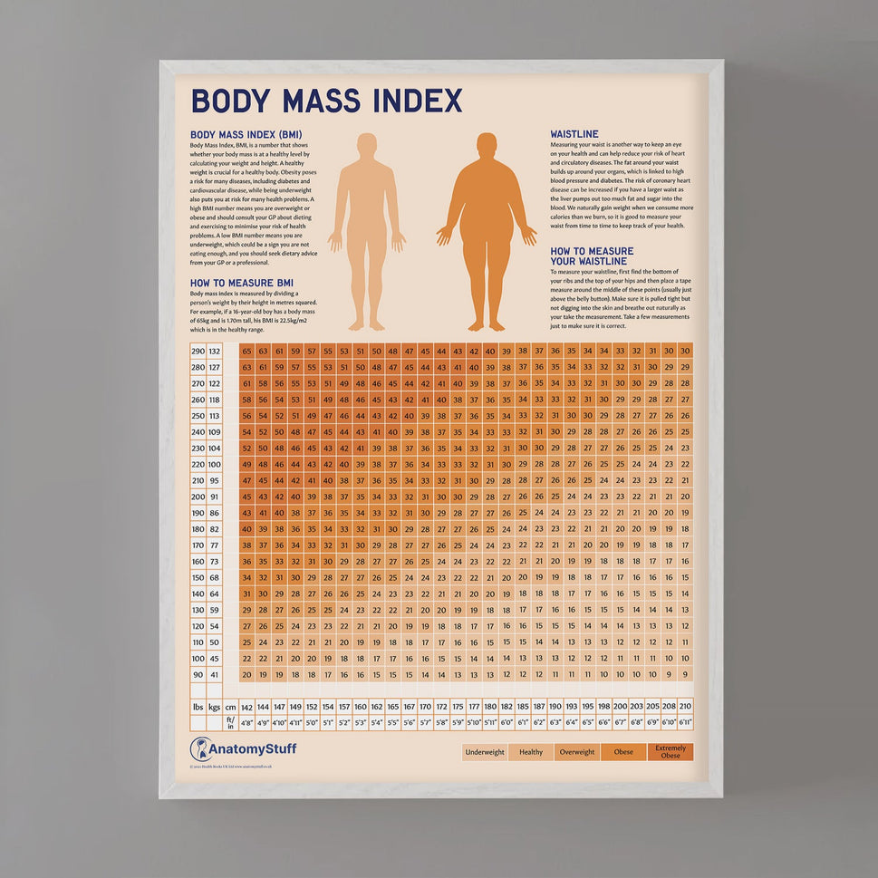 Body Mass Index (BMI) Chart / Poster
