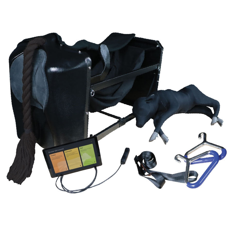 Bovine Birthing and Ultrasound Simulator