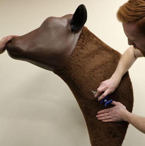 Bovine Injection Simulator