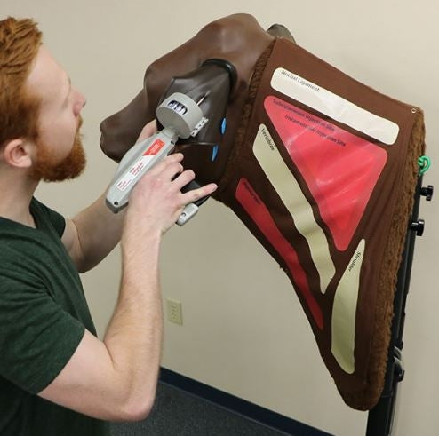 Bovine Injection Simulator